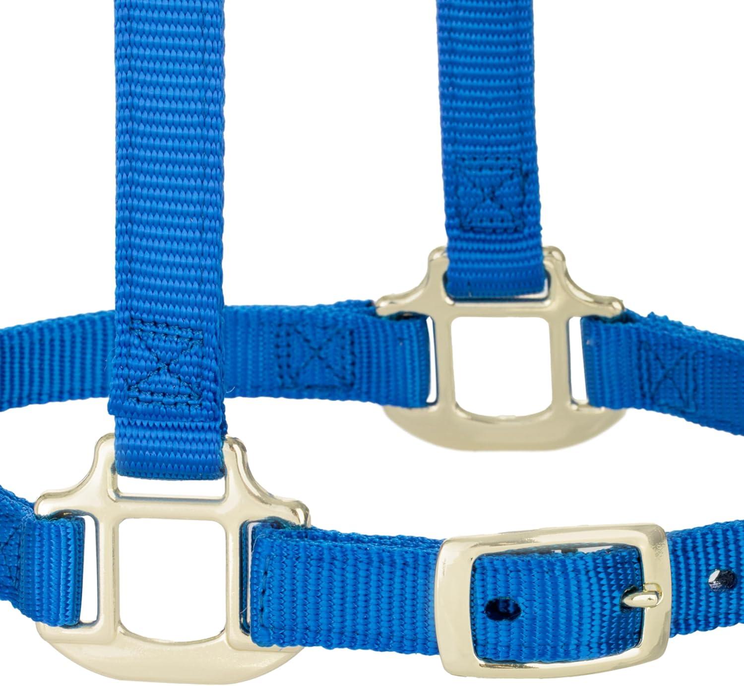 imageBreakaway Horse Halter Supple Leather Crown Adjustable Chin ampamp Throat Snap Halters for Horses Equine TackBlue