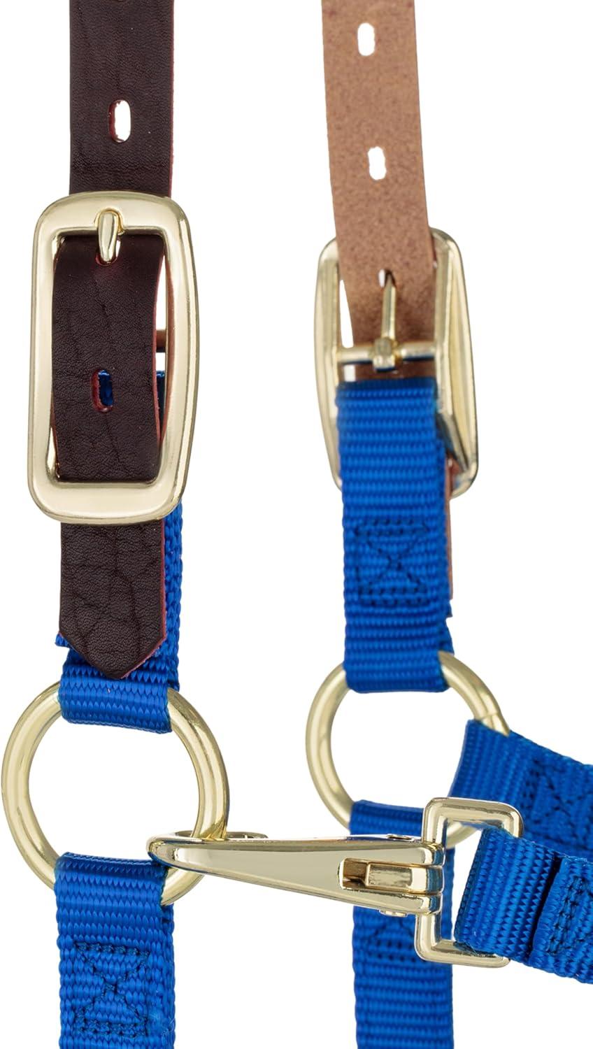 imageBreakaway Horse Halter Supple Leather Crown Adjustable Chin ampamp Throat Snap Halters for Horses Equine TackBlue