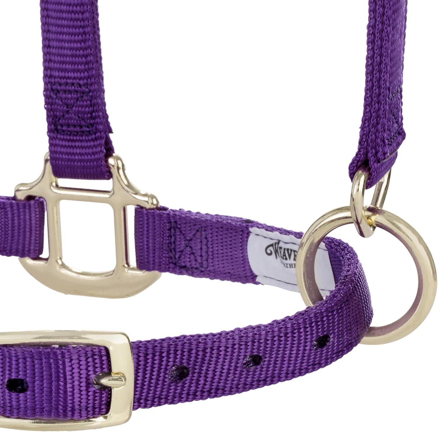 imageBreakaway Horse Halter Supple Leather Crown Adjustable Chin ampamp Throat Snap Halters for Horses Equine TackPurple