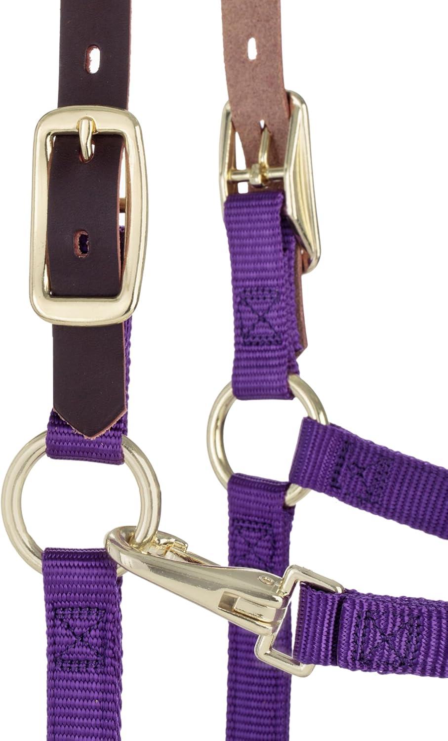imageBreakaway Horse Halter Supple Leather Crown Adjustable Chin ampamp Throat Snap Halters for Horses Equine TackPurple