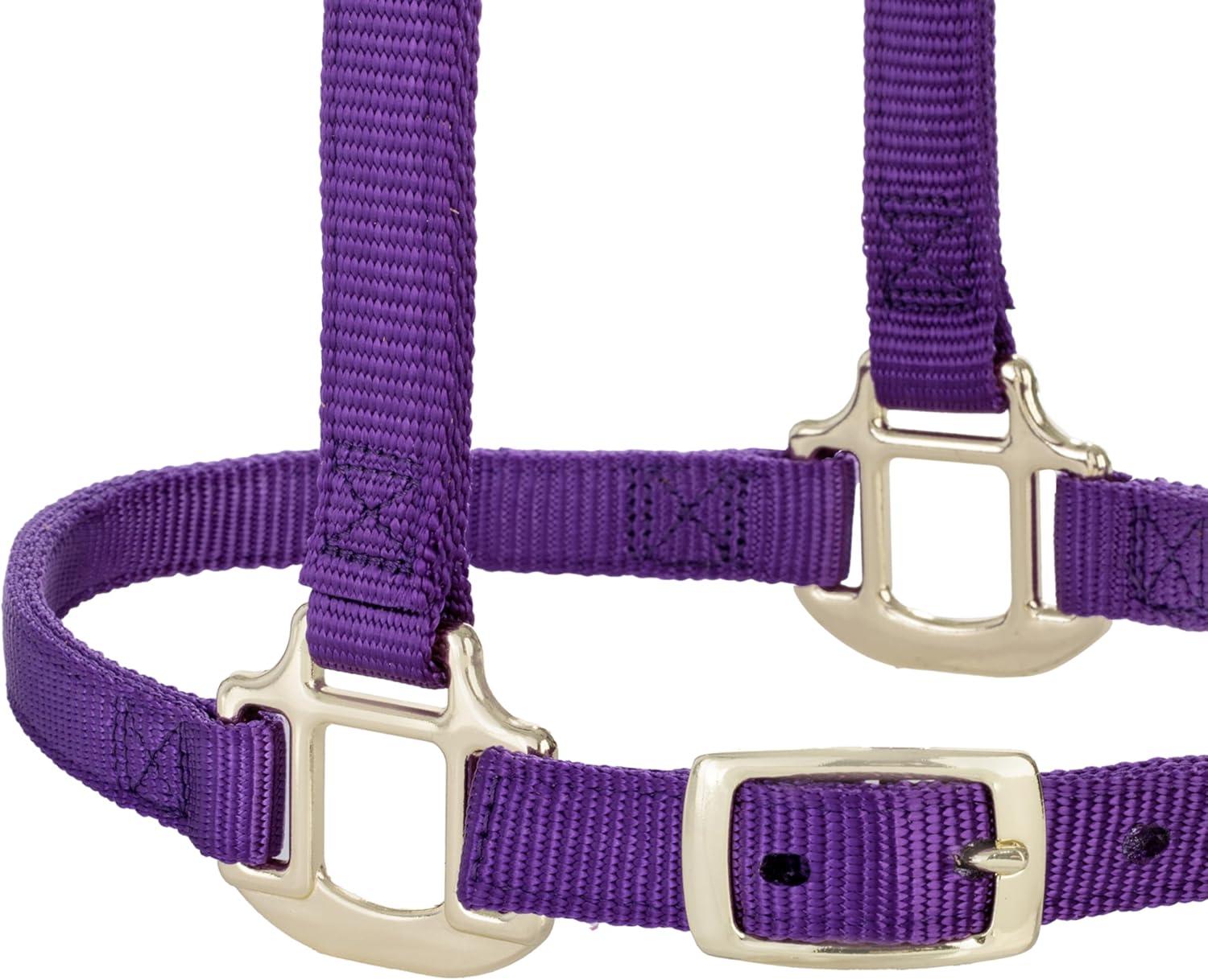 imageBreakaway Horse Halter Supple Leather Crown Adjustable Chin ampamp Throat Snap Halters for Horses Equine TackPurple