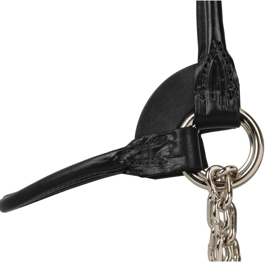 imageWeaver Leather Livestock DairyBeef Rounded Show Halter Black MediumBlack