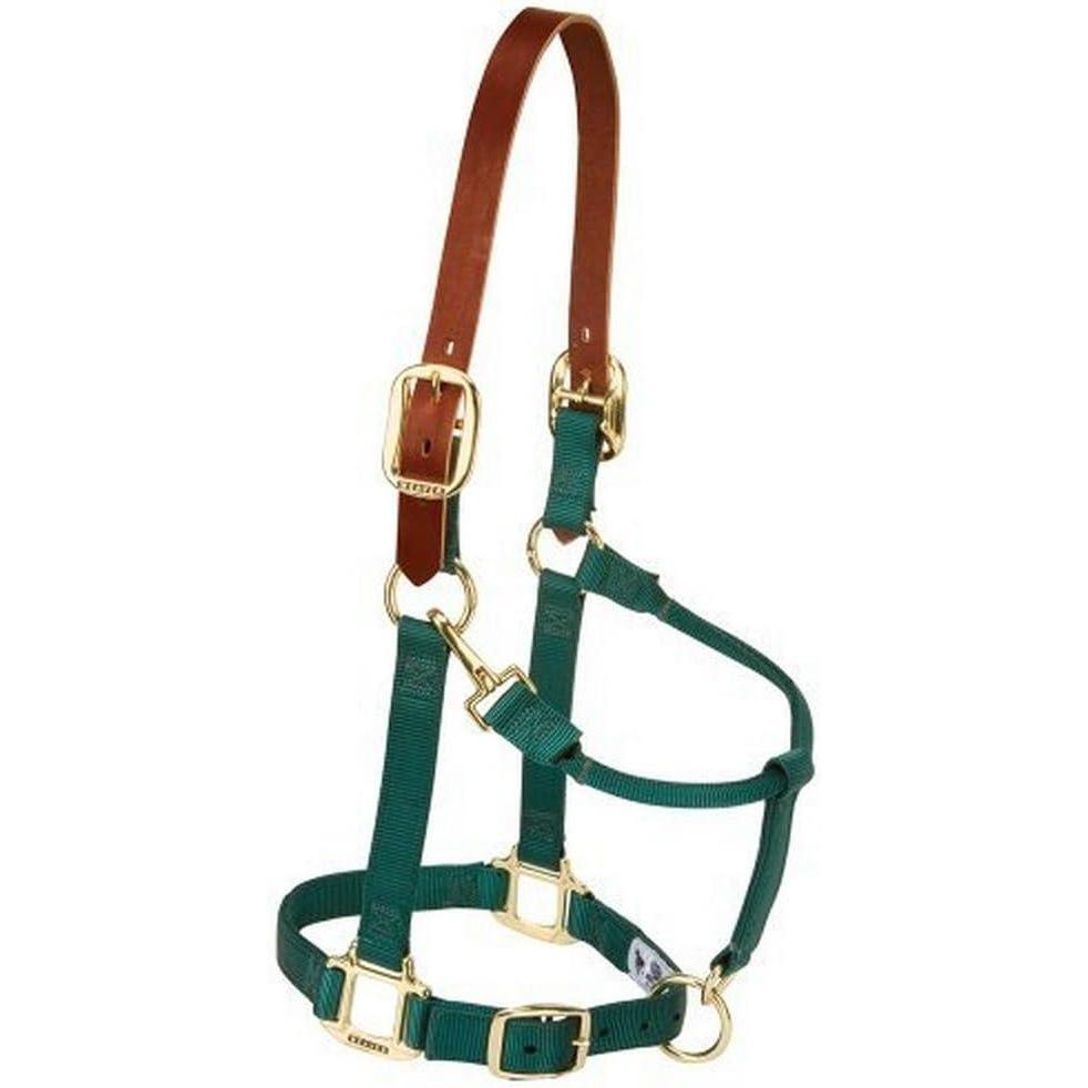 imageNylon Horse Halter Supple Leather Crown Adjustable Brass Throat Snap Halters for Horses Equine TackAverage Size Hunter Green