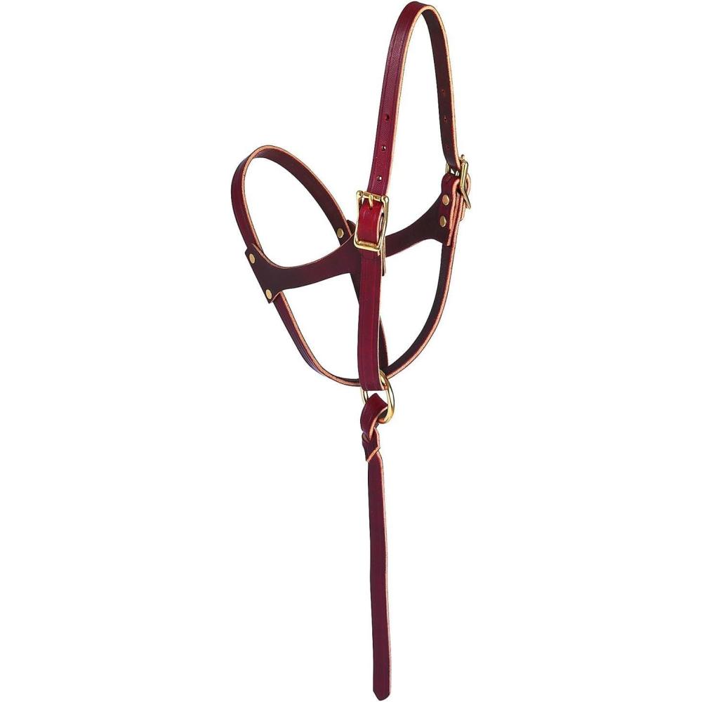imageWeaver Leather Figure8 Foal Halter Russet 58quot