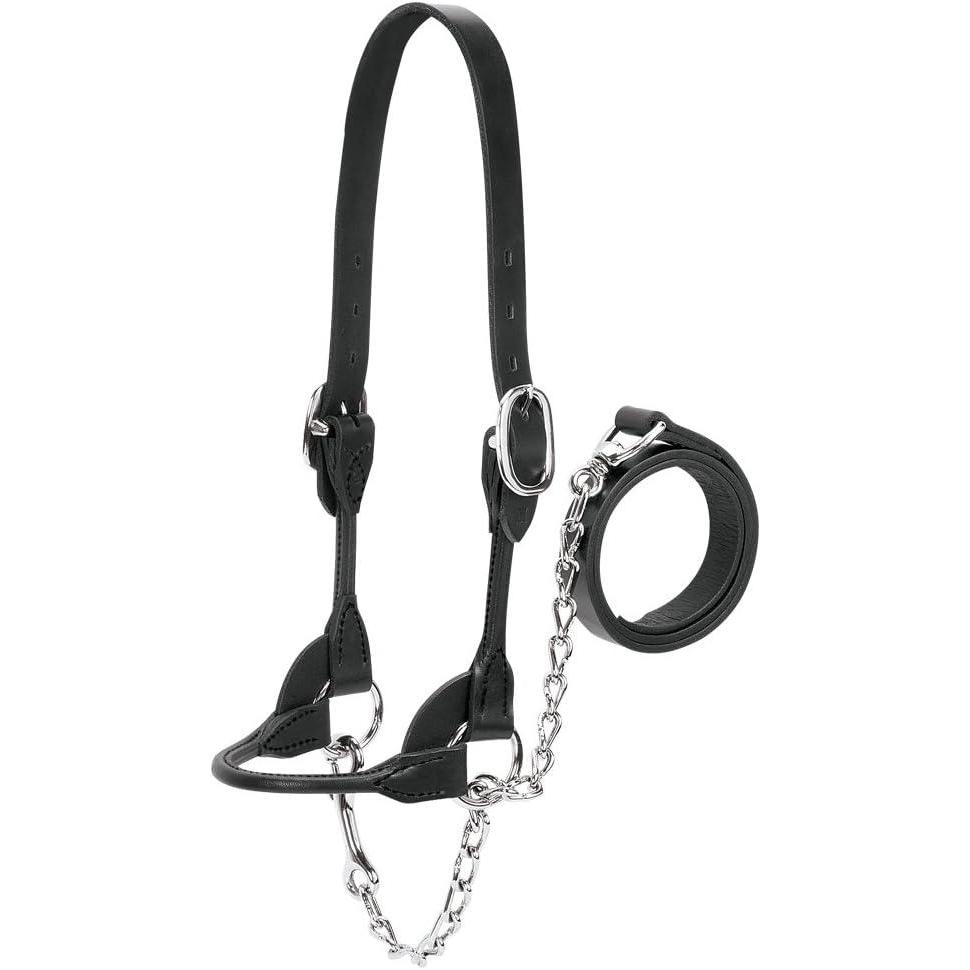 imageWeaver Leather Livestock DairyBeef Rounded Show Halter Black MediumBlack