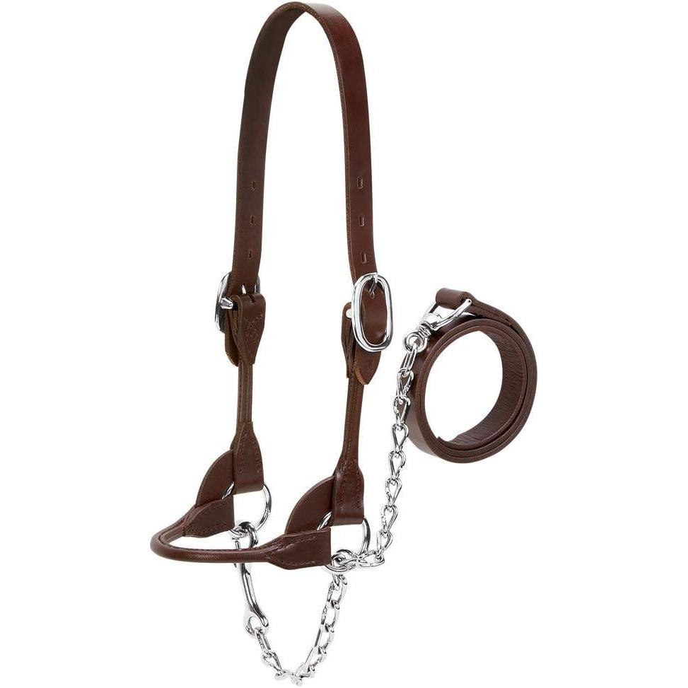 imageWeaver Leather Livestock DairyBeef Rounded Show Halter Black MediumBrown
