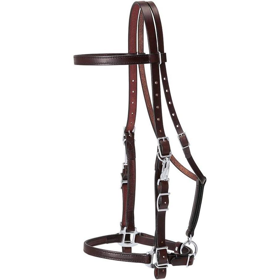 imageWeaver Leather Trailhead HalterBridle Combination