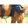 Airflex ‎Roper Horse Cinch, Anti-Slip Nylon Webbing Saddle Cinch Girth with Flat Buckle, Western Horse Riding Supplies, ‎Black