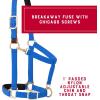 Breakaway Horse Halter, Comfort Foam Padding, Adjustable Chin & Throat Snap Halters for Horses, Equine Tack,Average Size, Blue