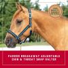 Breakaway Horse Halter, Comfort Foam Padding, Adjustable Chin & Throat Snap Halters for Horses, Equine Tack,Average Size, Blue