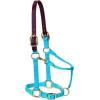Breakaway Horse Halter, Supple Leather Crown, Adjustable Chin & Throat Snap Halters for Horses, Equine Tack(Hurricane Blue)