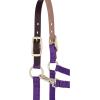 Breakaway Horse Halter, Supple Leather Crown, Adjustable Chin & Throat Snap Halters for Horses, Equine Tack(Purple)