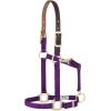 Breakaway Horse Halter, Supple Leather Crown, Adjustable Chin & Throat Snap Halters for Horses, Equine Tack(Purple)