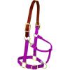 Breakaway Horse Halter, Supple Leather Crown, Adjustable Chin & Throat Snap Halters for Horses, Equine Tack(Raspberry)