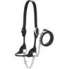 Weaver Leather Livestock Dairy/Beef Rounded Show Halter Black, Medium(Black)