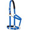Breakaway Horse Halter, Comfort Foam Padding, Adjustable Chin & Throat Snap Halters for Horses, Equine Tack,Average Size, Blue