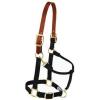 Breakaway Horse Halter, Supple Leather Crown, Adjustable Chin & Throat Snap Halters for Horses, Equine Tack(Navy)