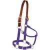 Breakaway Horse Halter, Supple Leather Crown, Adjustable Chin & Throat Snap Halters for Horses, Equine Tack(Purple)
