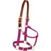 Breakaway Horse Halter, Supple Leather Crown, Adjustable Chin & Throat Snap Halters for Horses, Equine Tack(Raspberry)