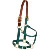 Nylon Horse Halter, Supple Leather Crown, Adjustable Brass Throat Snap Halters for Horses, Equine Tack,Average Size, Hunter Green