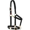 Weaver Equine Breakaway Horse Halter, Comfort Foam Padding, Adjustable Chin & Throat Snap Halters for Horses, Equine Tack,Average Size(Black)