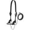 Weaver Leather Livestock Dairy/Beef Rounded Show Halter Black, Medium(Black)