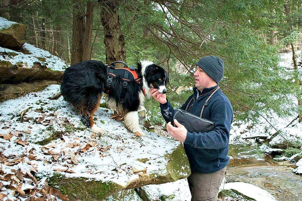 imageAdventure Pack BlackOrange MediumMedium