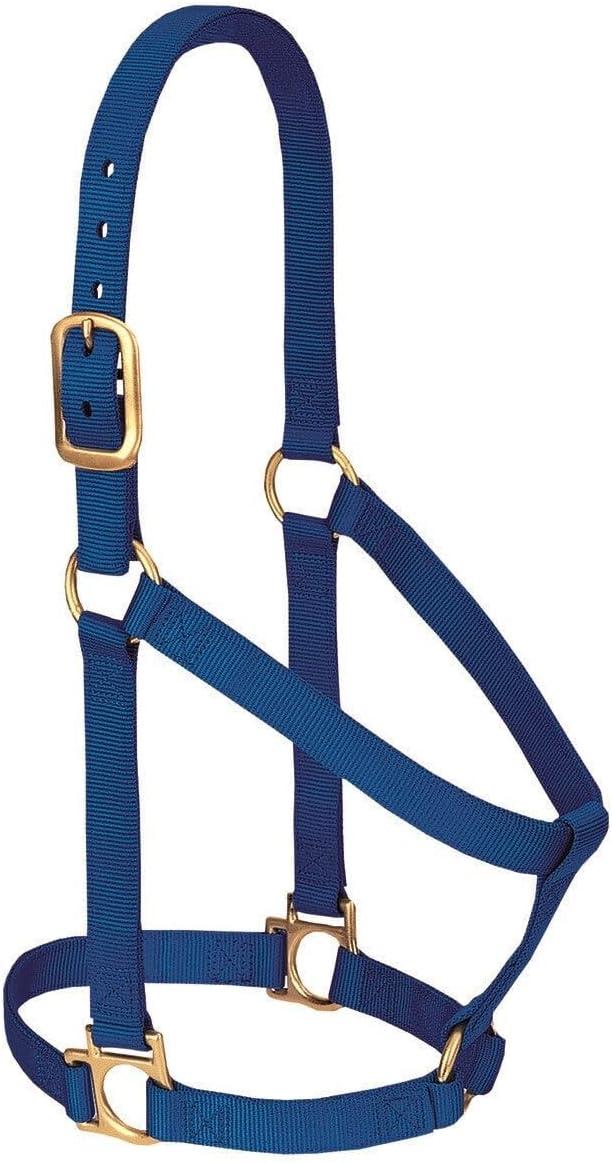 imageNylon Horse Halter Comfort DoublePly Webbing Basic Non Adjustable Halters for Horses Equine TackAverage Size BlackBlack