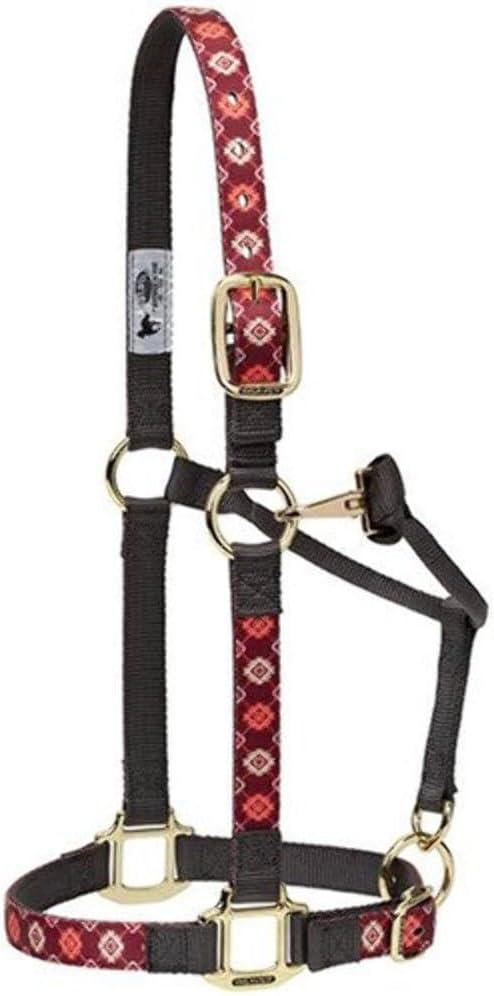 imageNylon Horse Halter Comfort DoublePly Webbing Basic Non Adjustable Halters for Horses Equine TackAverage Size BlackCactus