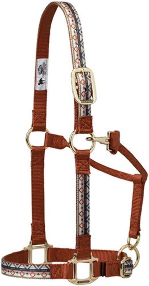 imageNylon Horse Halter Comfort DoublePly Webbing Basic Non Adjustable Halters for Horses Equine TackAverage Size BlackCactus