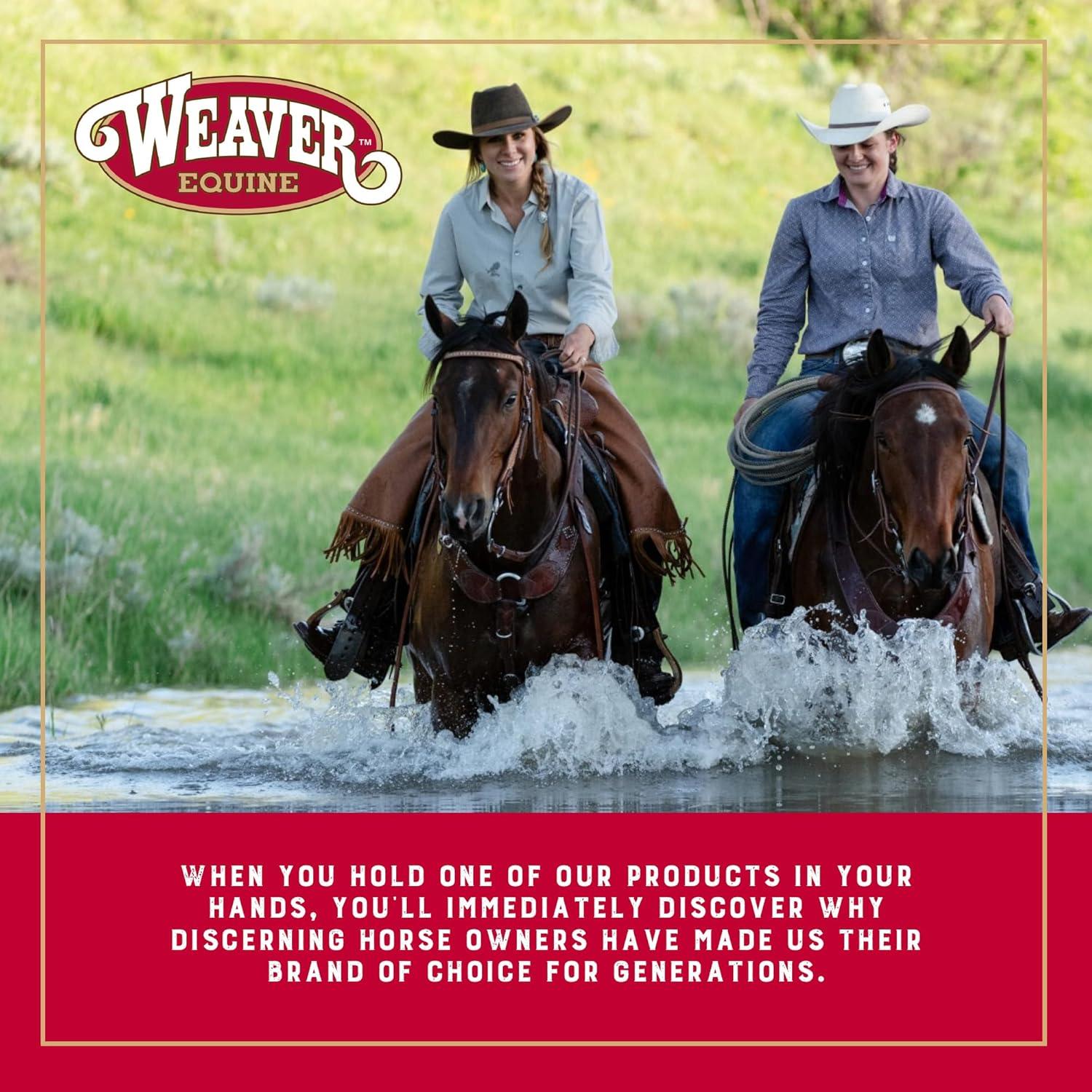 imageWeaver Equine Adjustable Surcingles for Horses with ShockAbsorbing Neoprene Brass Plated Buckles ampamp Dee Rings for Side Reins Fits 68quot to 72quotLime