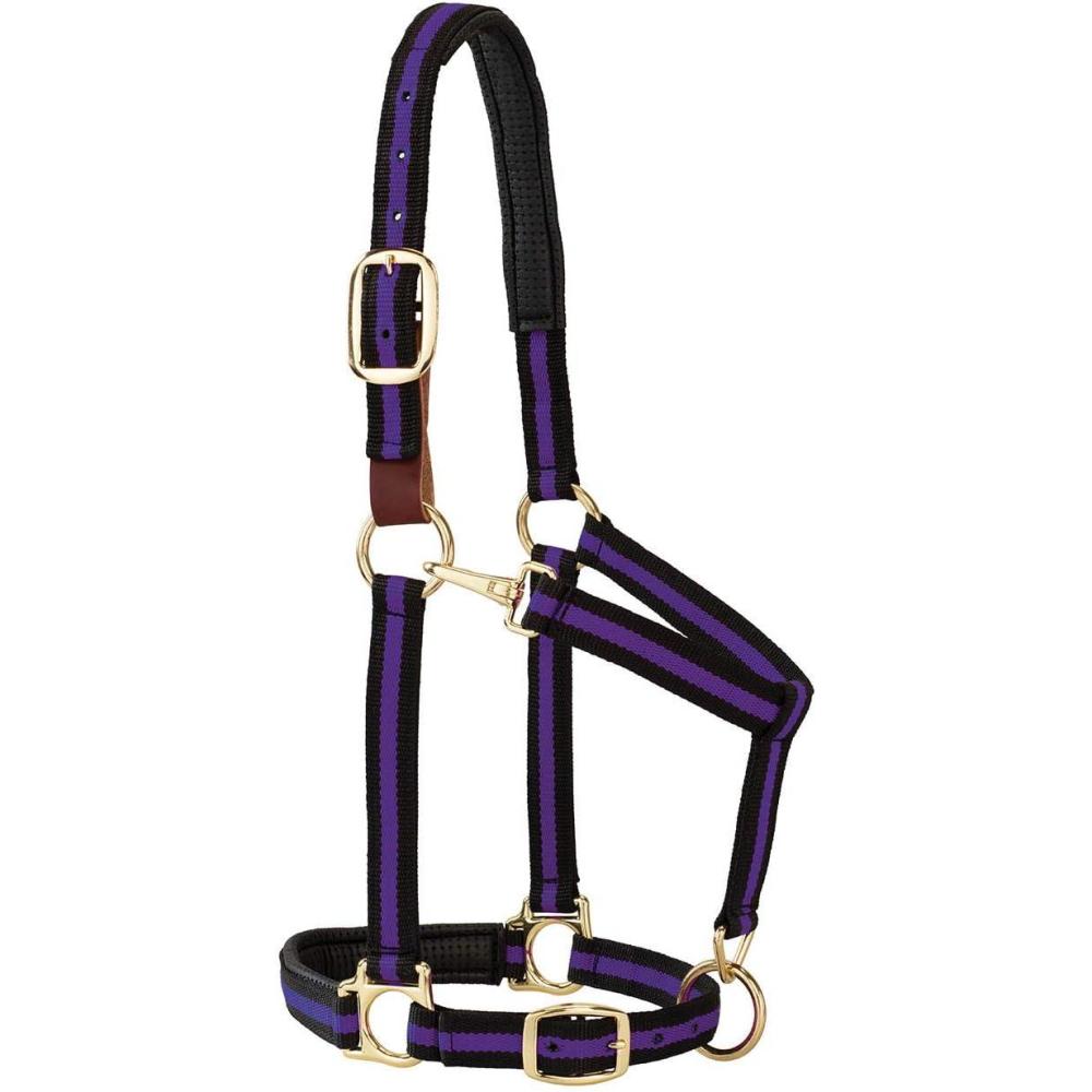 imageBreakaway Horse Halter Comfort Foam Padding Adjustable Chin ampamp Throat Snap Halters for Horses Equine TackAverage Size Purple