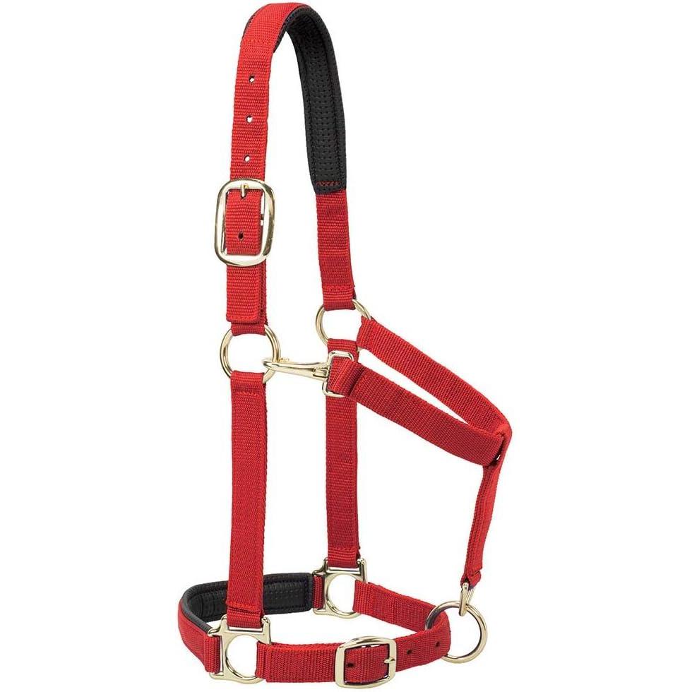 imageBreakaway Horse Halter Comfort Foam Padding Adjustable Chin ampamp Throat Snap Halters for Horses Equine TackAverage Size Solid Red