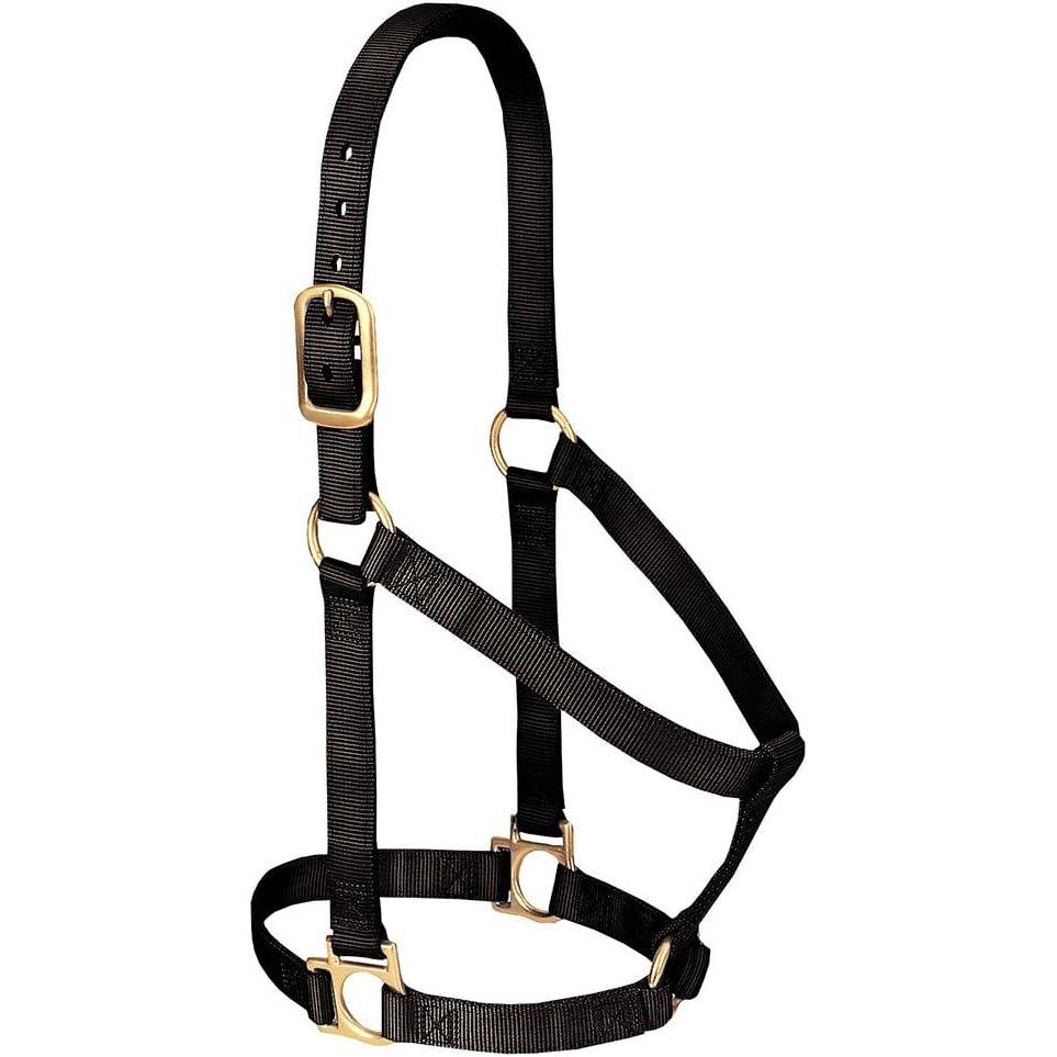imageNylon Horse Halter Comfort DoublePly Webbing Basic Non Adjustable Halters for Horses Equine TackAverage Size BlackBlack
