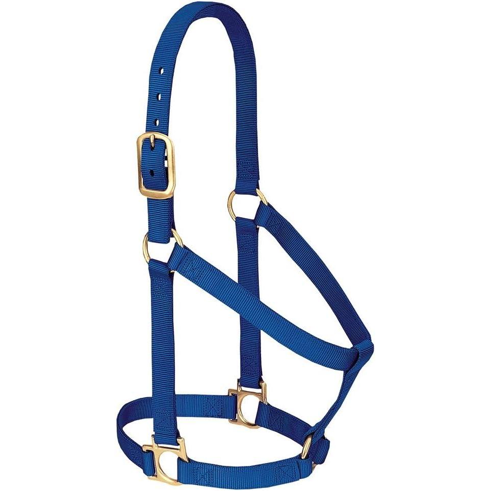 imageNylon Horse Halter Comfort DoublePly Webbing Basic Non Adjustable Halters for Horses Equine TackAverage Size BlackBlue
