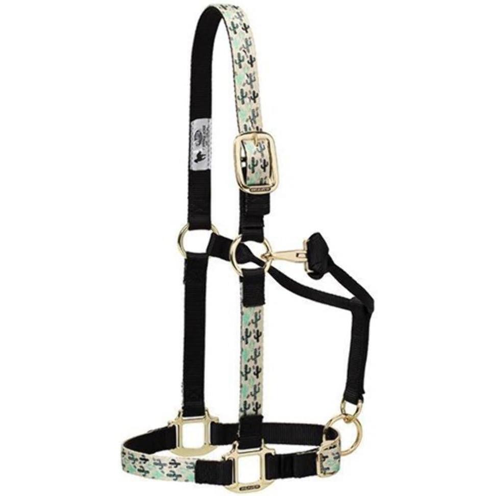 imageNylon Horse Halter Comfort DoublePly Webbing Basic Non Adjustable Halters for Horses Equine TackAverage Size BlackCactus