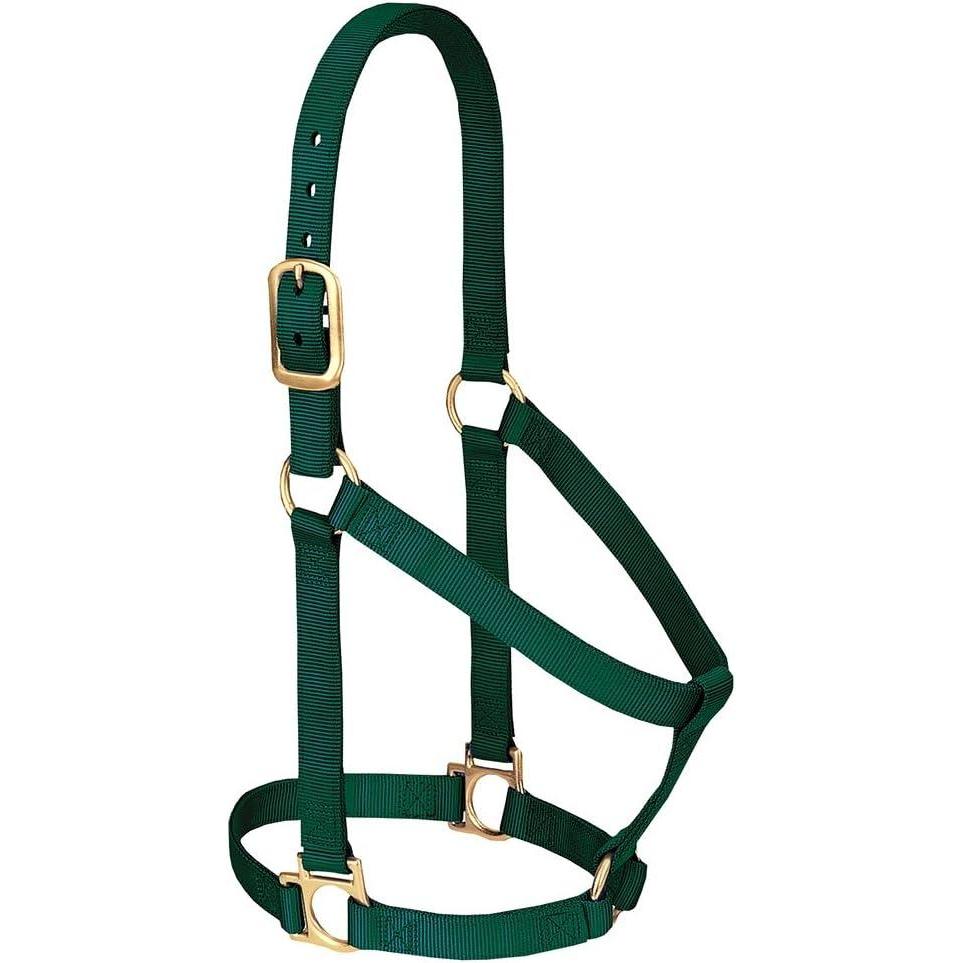 imageNylon Horse Halter Comfort DoublePly Webbing Basic Non Adjustable Halters for Horses Equine TackAverage Size BlackHunter Green
