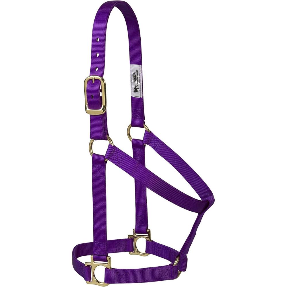 imageNylon Horse Halter Comfort DoublePly Webbing Basic Non Adjustable Halters for Horses Equine TackAverage Size BlackPurple