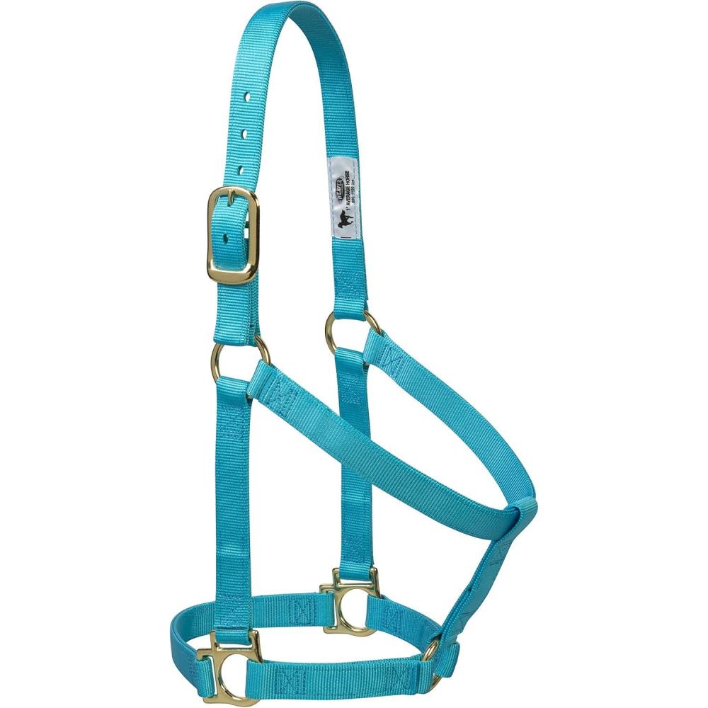 imageNylon Horse Halter Comfort DoublePly Webbing Basic Non Adjustable Halters for Horses Equine TackAverage Size BlackTurquoise