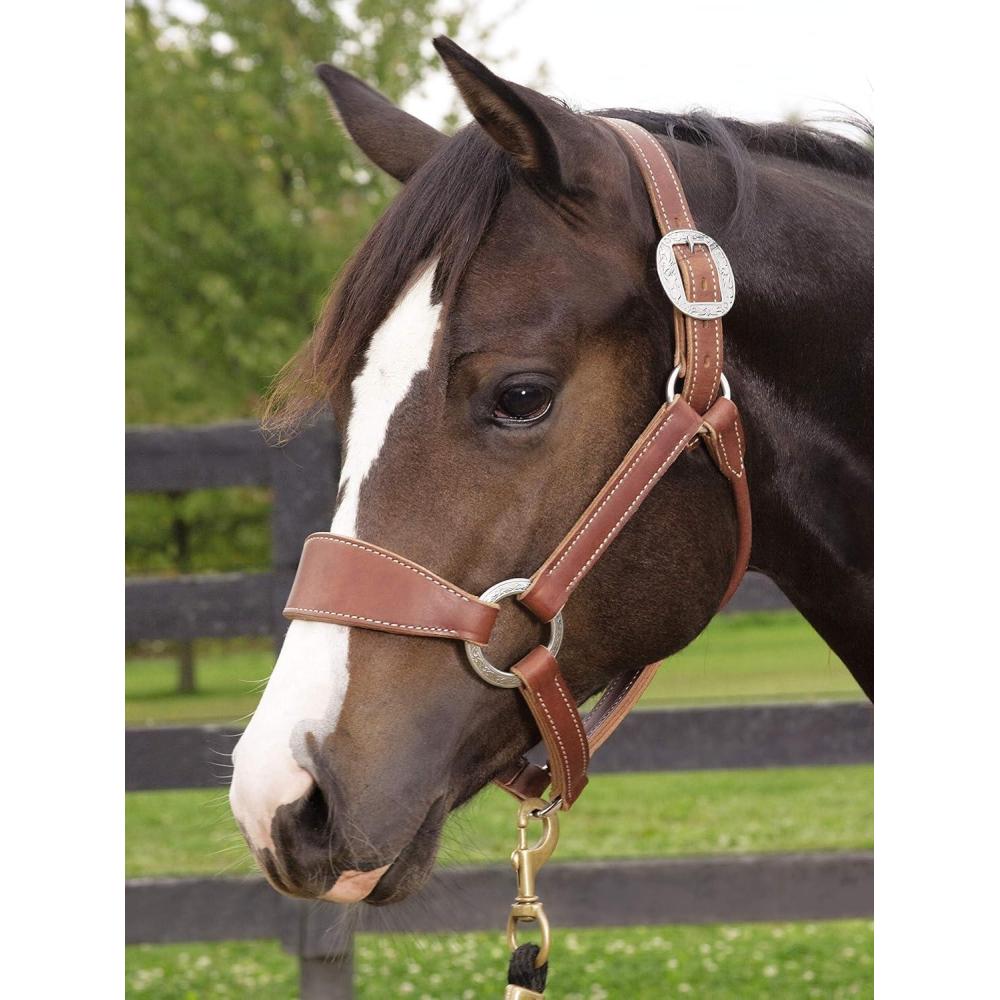 imageWeaver Leather Stacy Westfall Bronc Halter Sunset Average