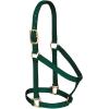 Nylon Horse Halter, Comfort Double-Ply Webbing, Basic Non Adjustable Halters for Horses, Equine Tack,Average Size, Black(Black)
