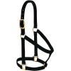 Nylon Horse Halter, Comfort Double-Ply Webbing, Basic Non Adjustable Halters for Horses, Equine Tack,Average Size, Black(Black)