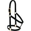 Nylon Horse Halter, Comfort Double-Ply Webbing, Basic Non Adjustable Halters for Horses, Equine Tack,Average Size, Black(Black)