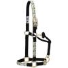Nylon Horse Halter, Comfort Double-Ply Webbing, Basic Non Adjustable Halters for Horses, Equine Tack,Average Size, Black(Cactus)