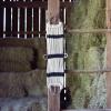Rayon 17 Strand Horse Cinch, Anti-Slip Saddle Cinch Girth with Flat Buckle, Western Horse Riding Supplies, ‎Tan/Black