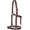 Weaver LeatherHalter(Burgundy)