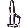 Breakaway Horse Halter, Comfort Foam Padding, Adjustable Chin & Throat Snap Halters for Horses, Equine Tack,Average Size, Purple