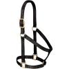 Nylon Horse Halter, Comfort Double-Ply Webbing, Basic Non Adjustable Halters for Horses, Equine Tack,Average Size, Black(Black)