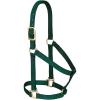 Nylon Horse Halter, Comfort Double-Ply Webbing, Basic Non Adjustable Halters for Horses, Equine Tack,Average Size, Black(Hunter Green)