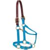 Nylon Horse Halter, Comfort Double-Ply Webbing, Basic Non Adjustable Halters for Horses, Equine Tack,Average Size, Black(Hurricane Blue)